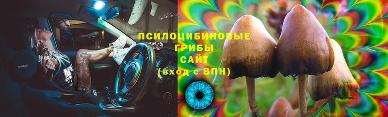 Галлюциногенные грибы Cubensis Оханск